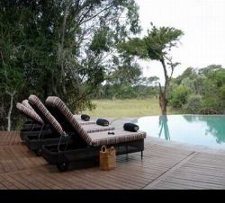 Andere Gebiete - Phinda Forest Lodge
